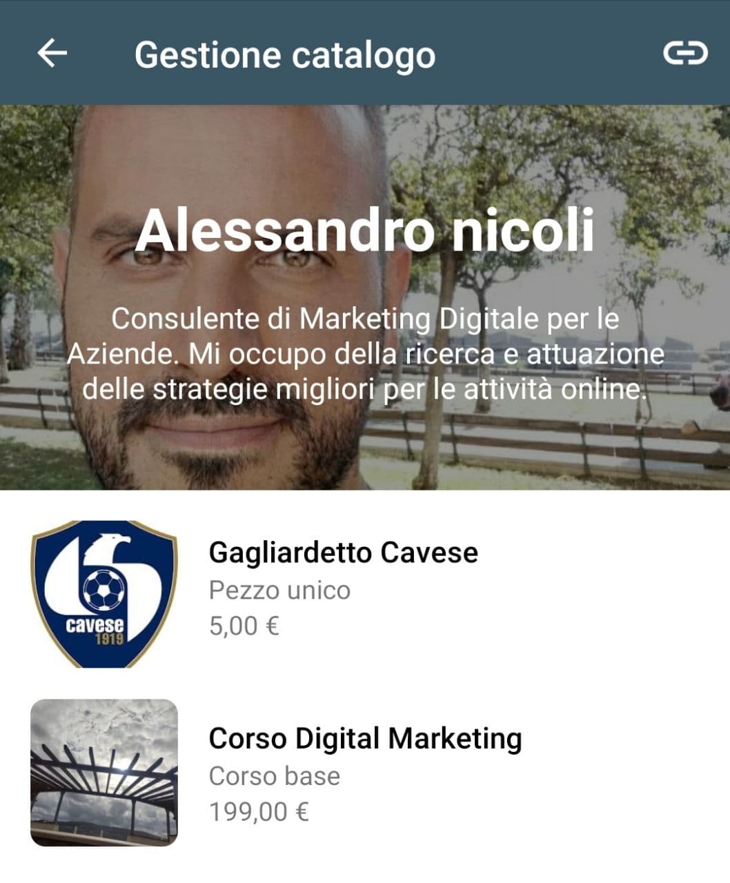 catalogo whatsapp business