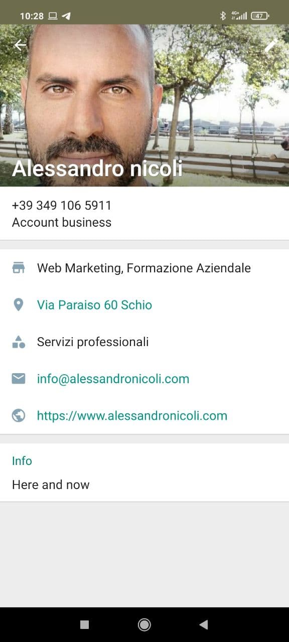 profilo whatsapp business