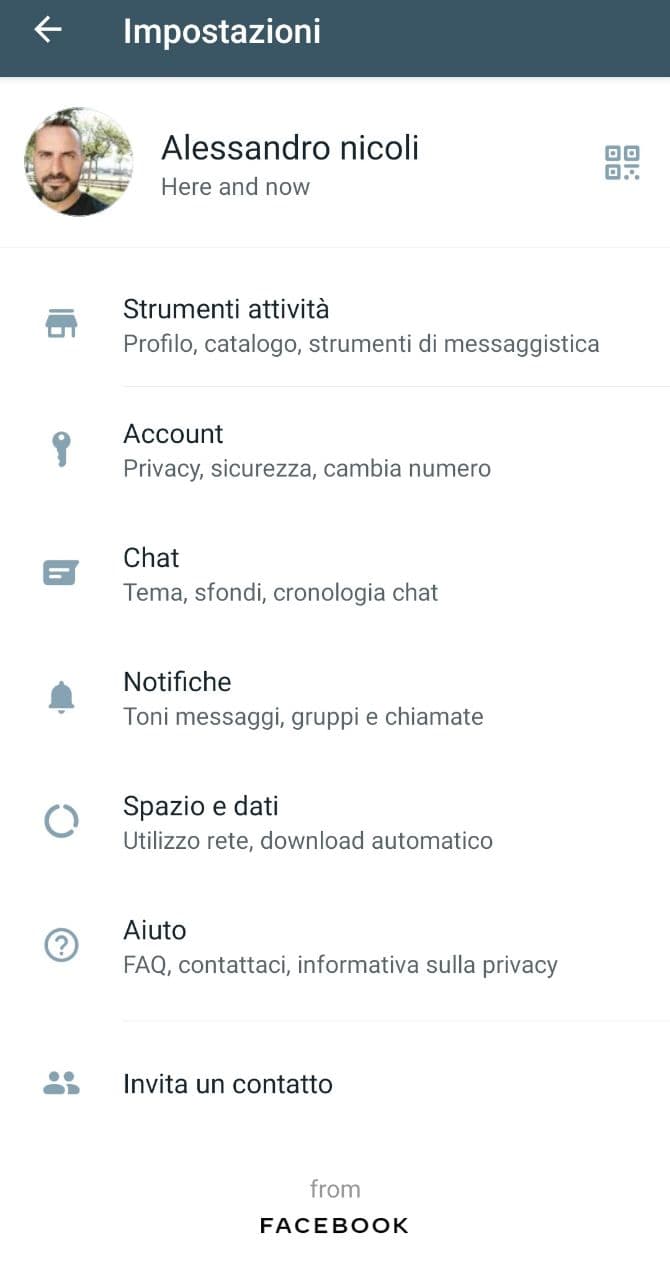 whatsapp business alessandro nicoli